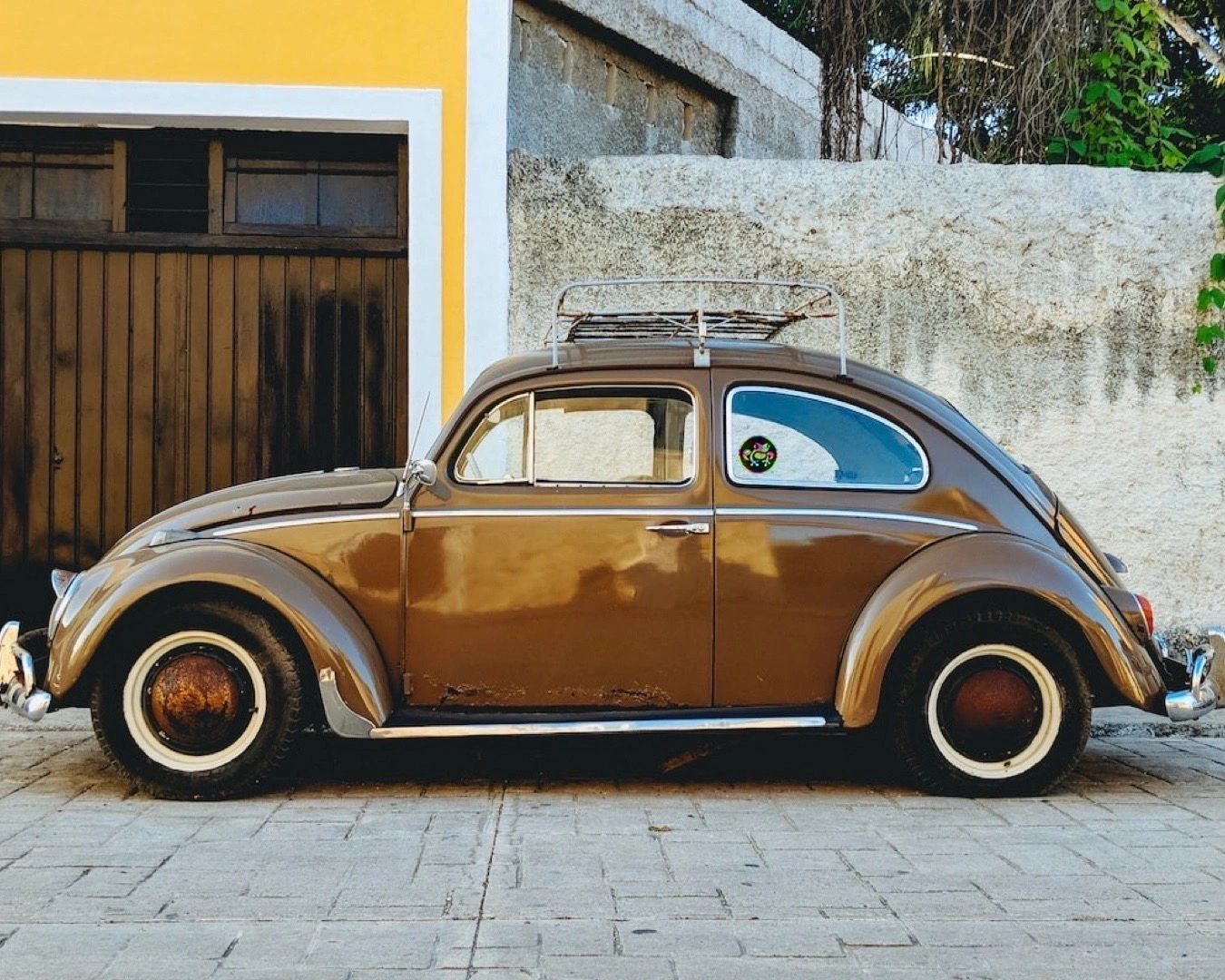 Swag Island Frog 3" Holographic Sticker